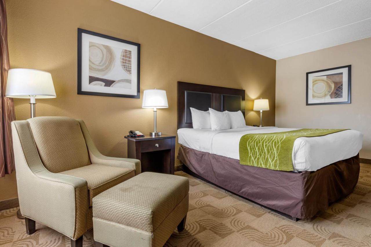 Inn Comfort - Robins Air Force Base Area 2*